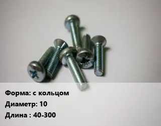 Винт с кольцом 10х40-300